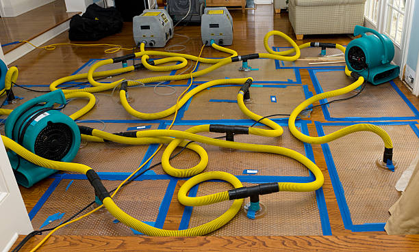 Professional Sewage Cleanup technician working in Logan, IA